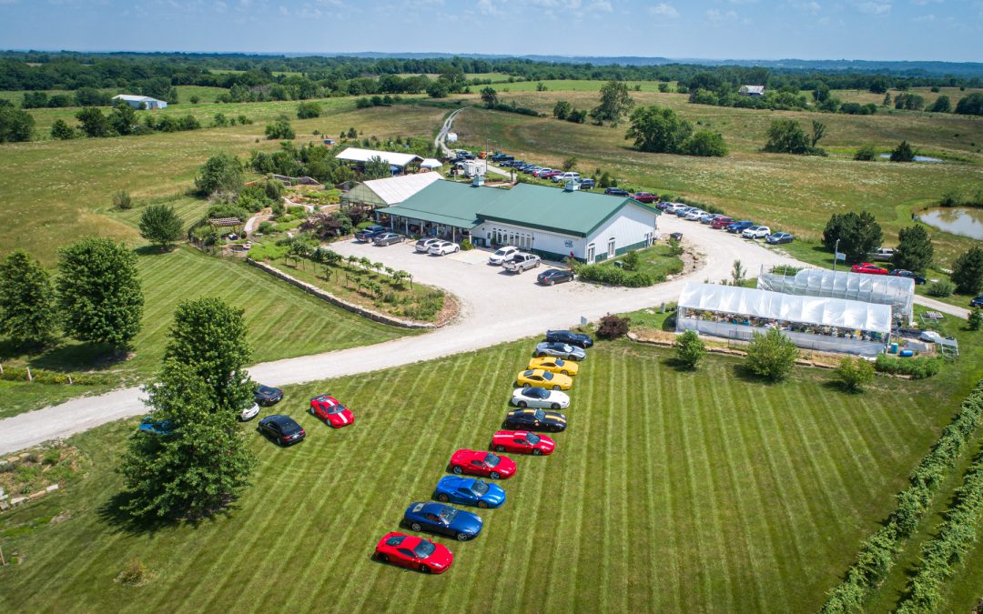 June Drive 2019 – June 29, 2019